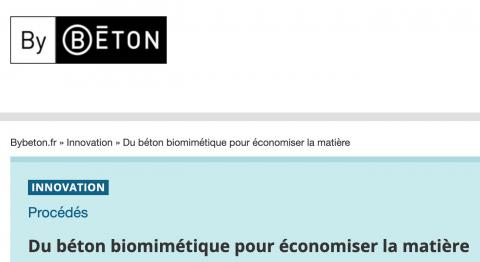 By Béton / Du béton biomimétique pour économiser la matière^^